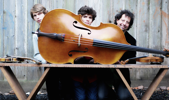 touring projects : mike marshall